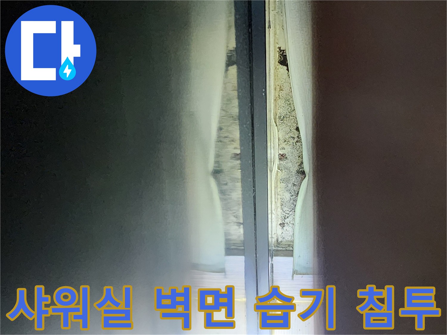 샤워부스-유리-뒤쪽-타일-벽면-습윤-상태