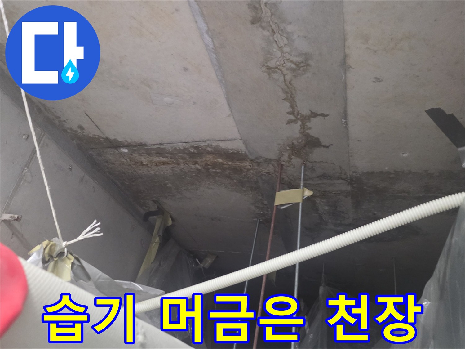 천장 내부-물샘 흔적-조사