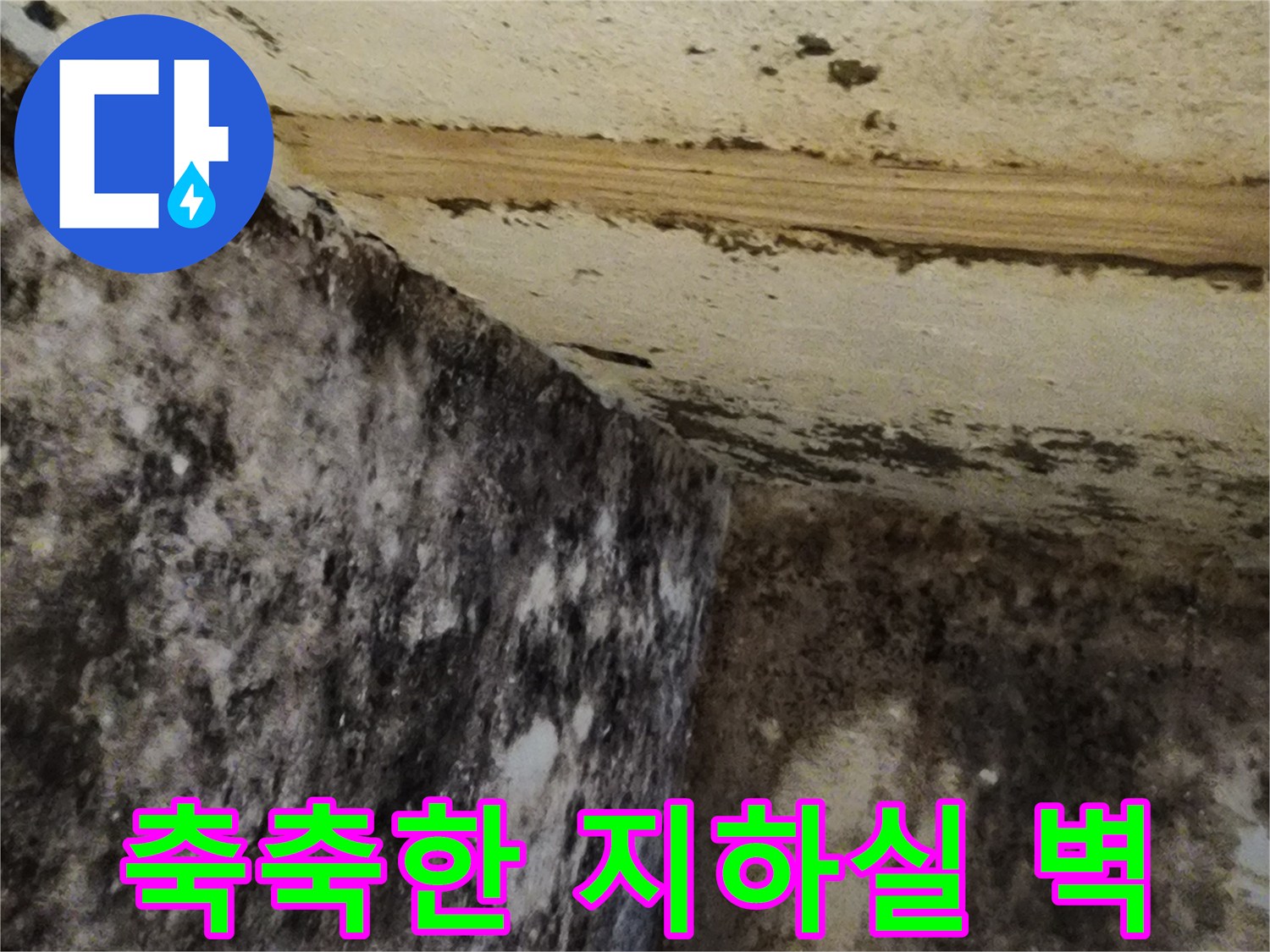 누수로 인해-습기가 스며든 지하실 벽면 사진