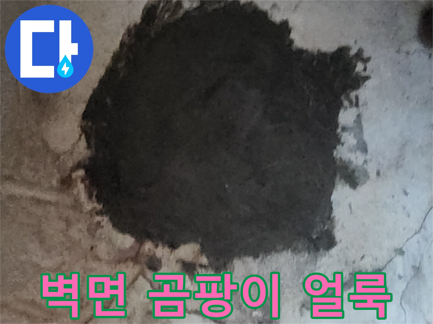 물샘으로 인한 벽면 오염-곰팡이와 습기 확인