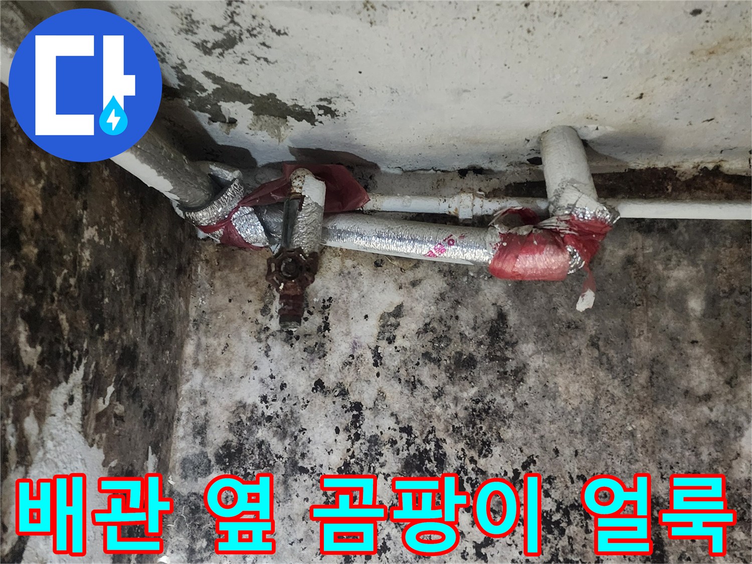 습기로 인해-검게 변한 지하 배관 벽면