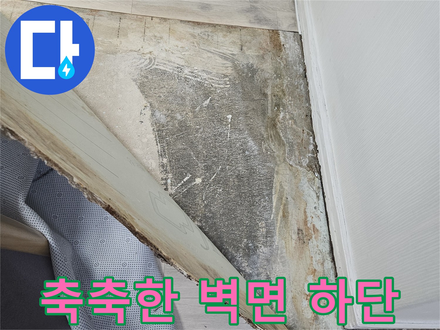 습기가 침투한-벽체 마감재와-콘크리트 면