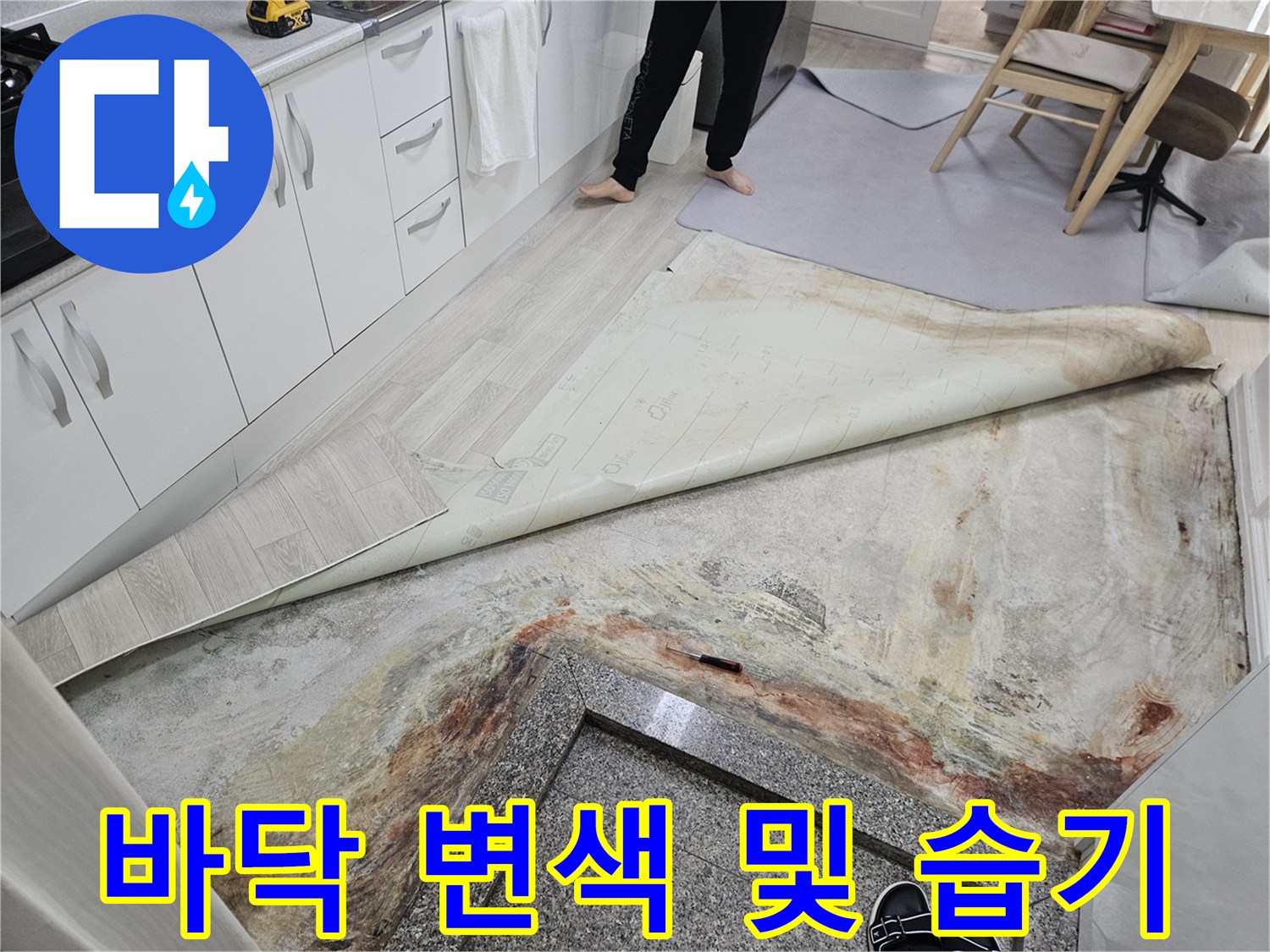 용인 죽전동-장판 제거 후 드러난 젖은 바닥 콘크리트