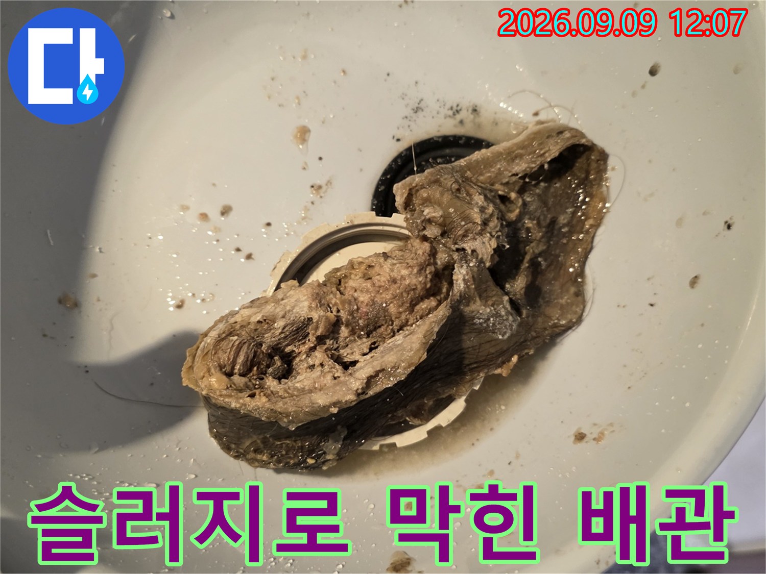 배관 입구-머리카락 뭉치와 슬러지가 가득 찬 배관 내부