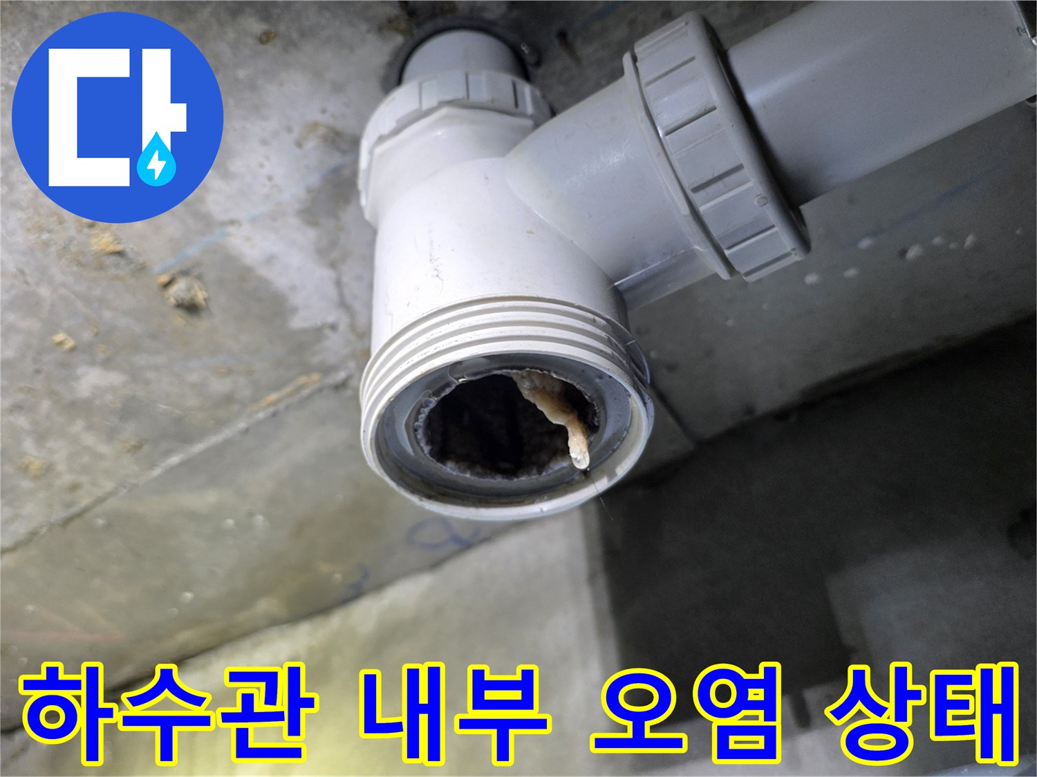 배수관-입구에-걸려있는-머리카락-뭉치