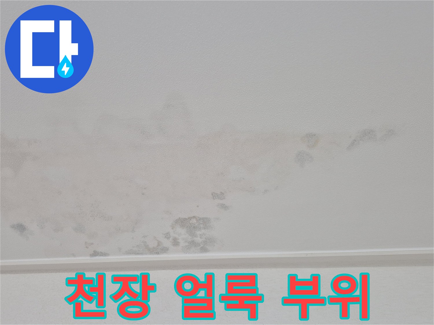 불규칙한-모양의-천장-물샘-흔적