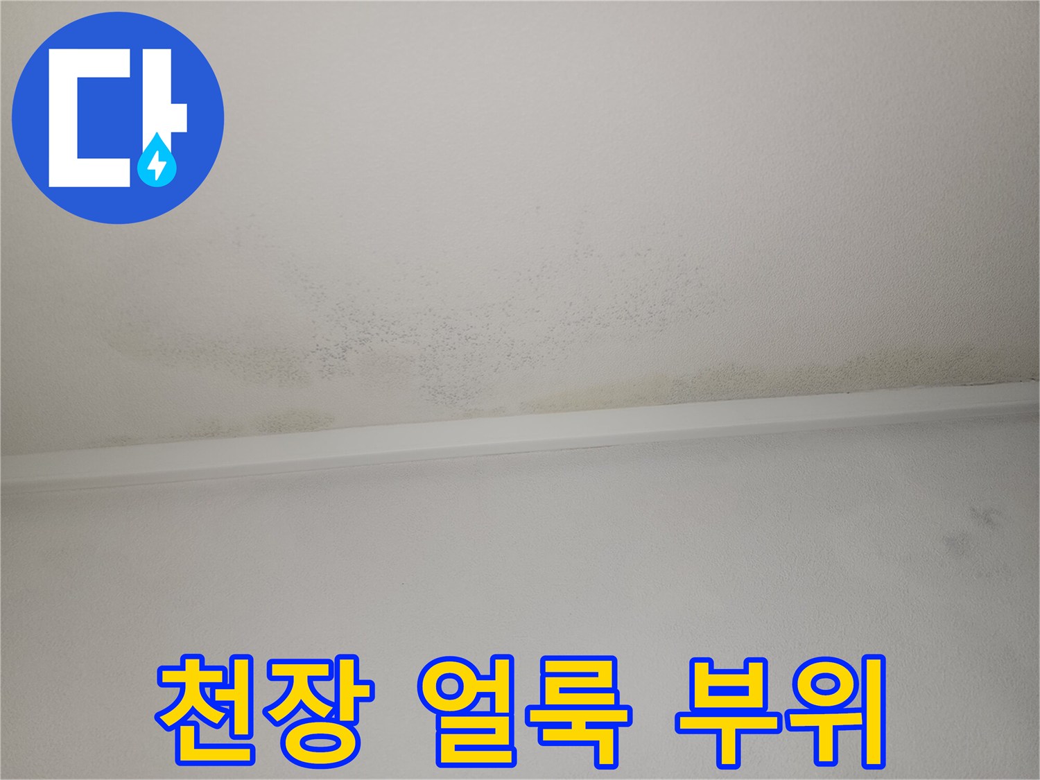 불규칙한 모양의 물자국이 남은 천장 내부 모습
