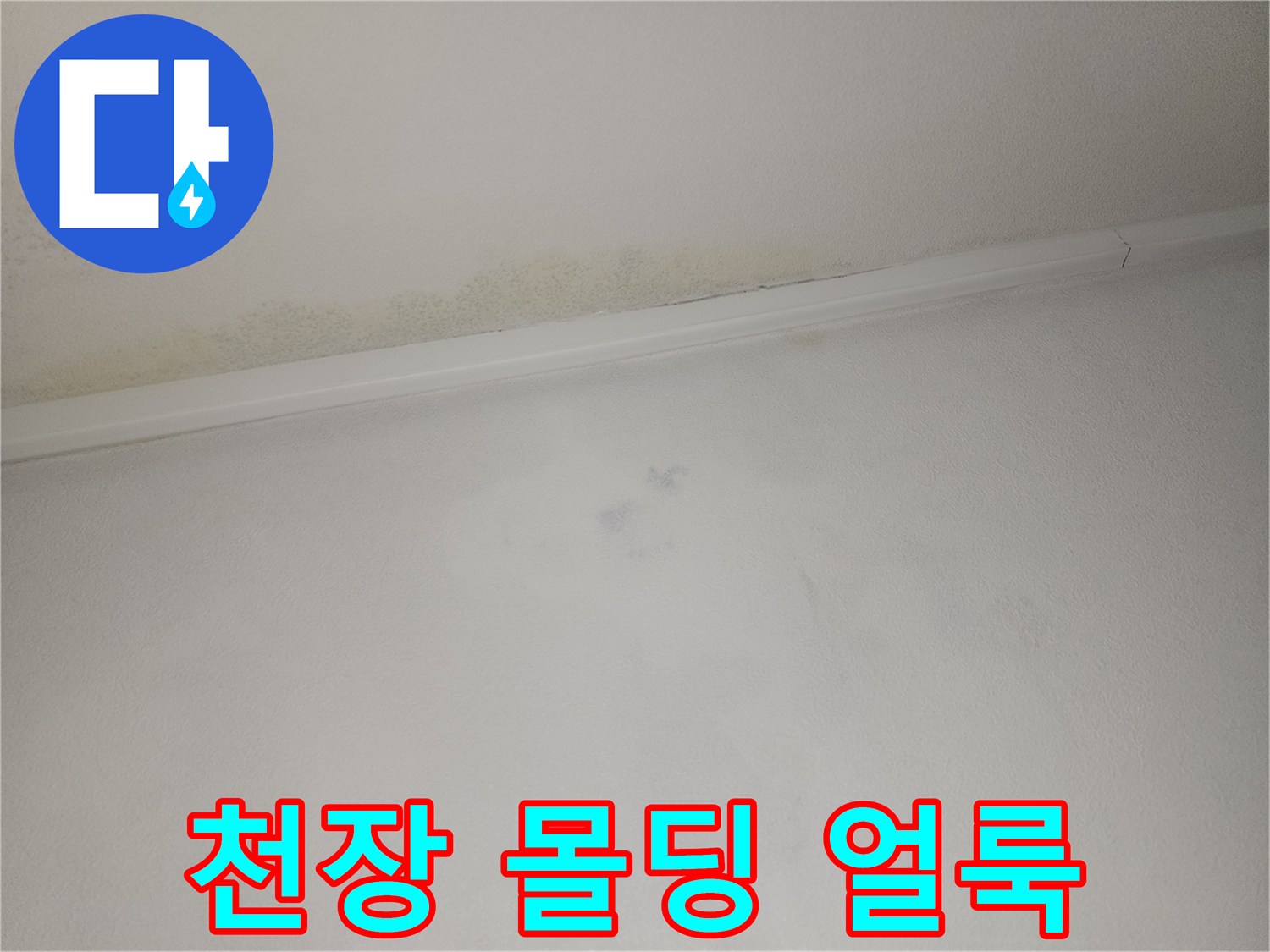 천장-몰딩-주변의-습기-및-곰팡이-전조-현상