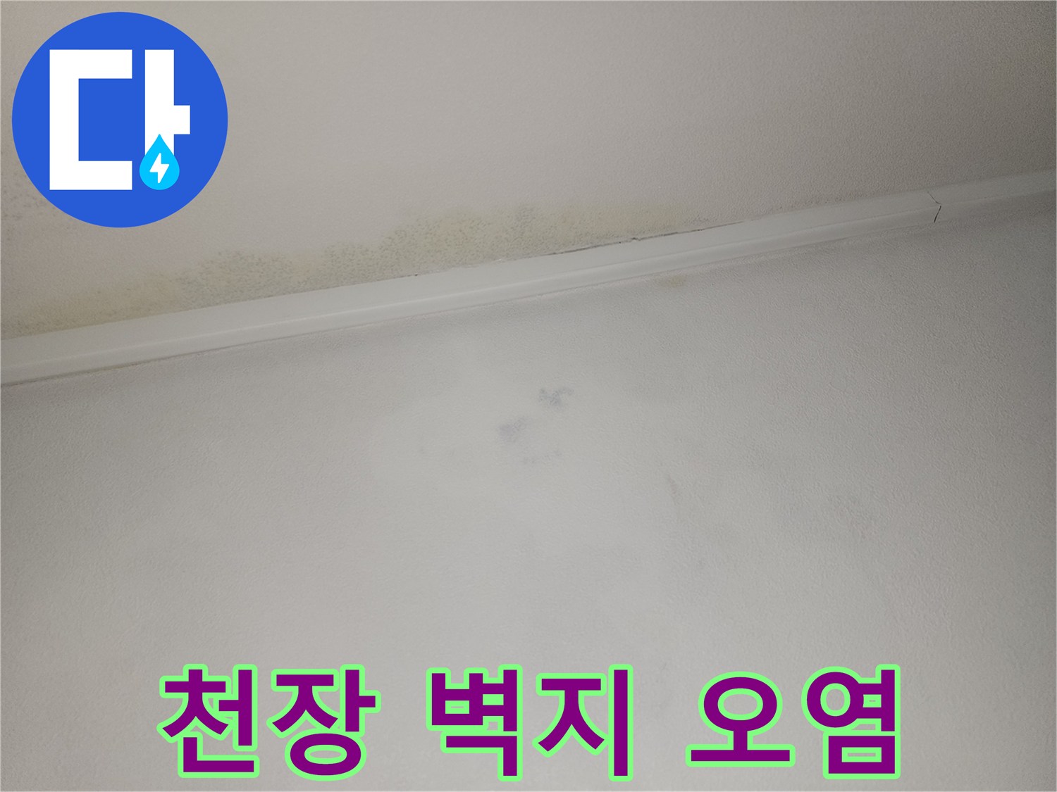 천장 부분의 넓은 범위에 나타난 물자국