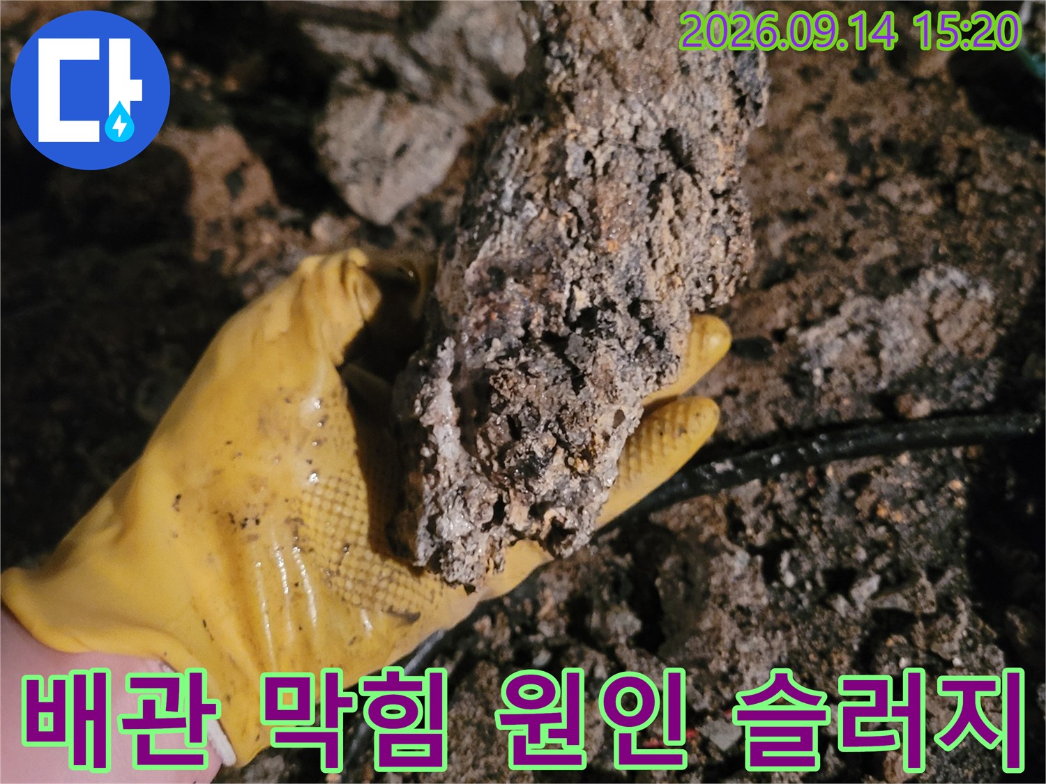 작업자가 손으로 들어 올린 거대한 슬러지 퇴적물