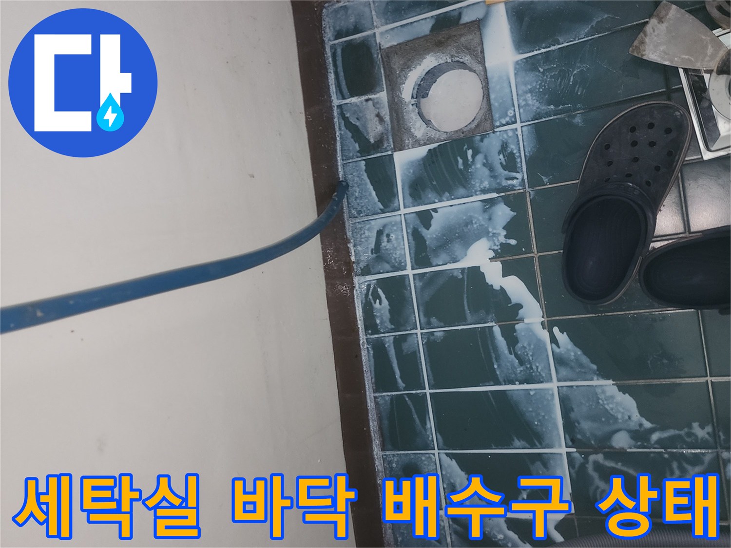 성동구 세탁실-배수구 주변 방수층 파손 확인