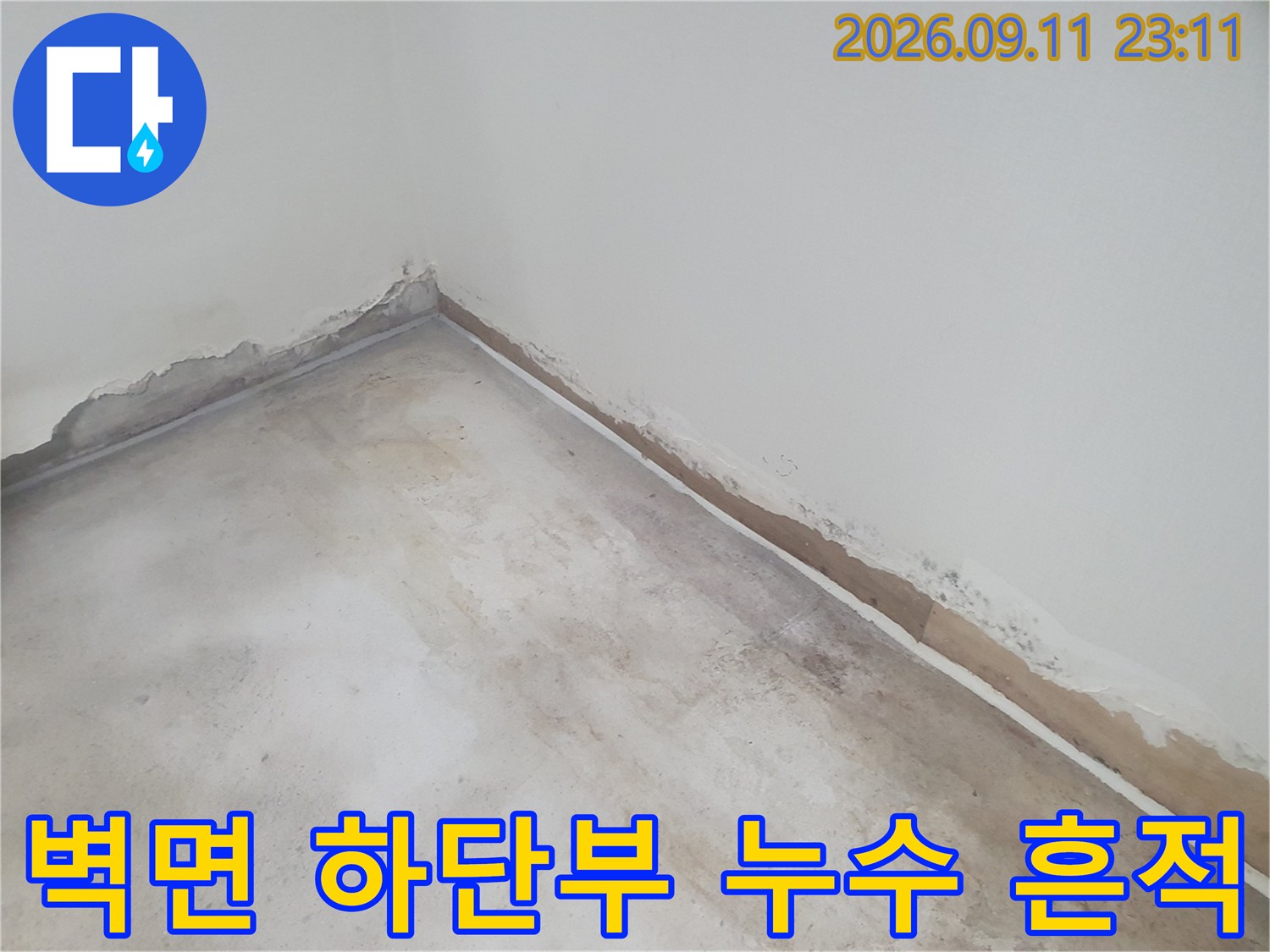 습기가 유입된 벽체 하단-바닥 모서리의 변색된 부분