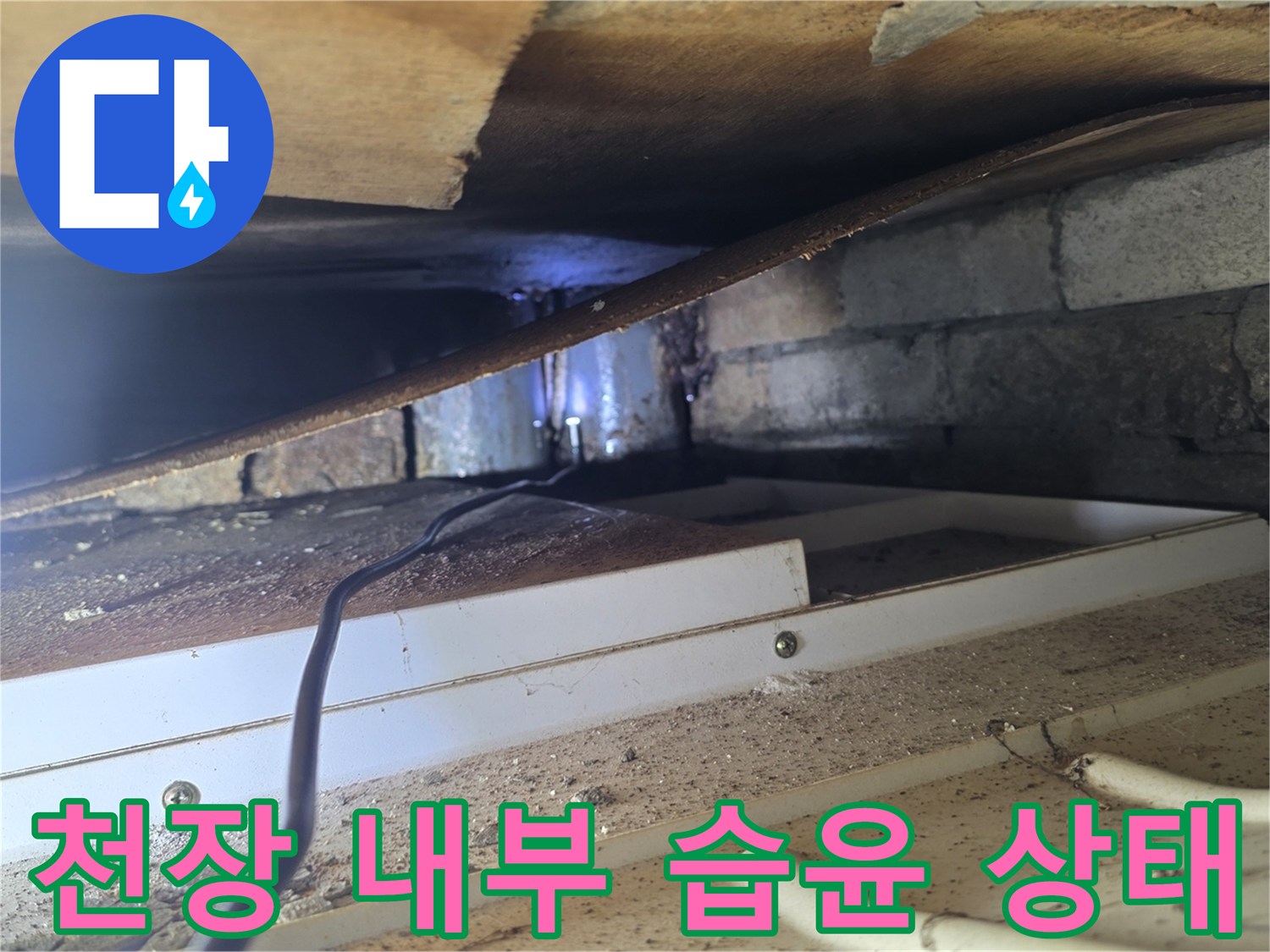 양재동 현장-배관 주변 슬라브의 습윤 상태 기록